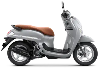 Honda Scoopy Stylish Grey